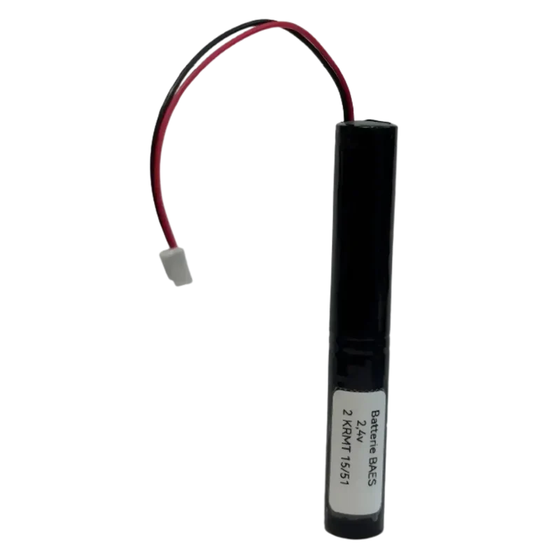 Batterie BAES Zemper 2.4V 1700mAh NiMH 2AA avec connecteur – Éclairage de secours 15/51