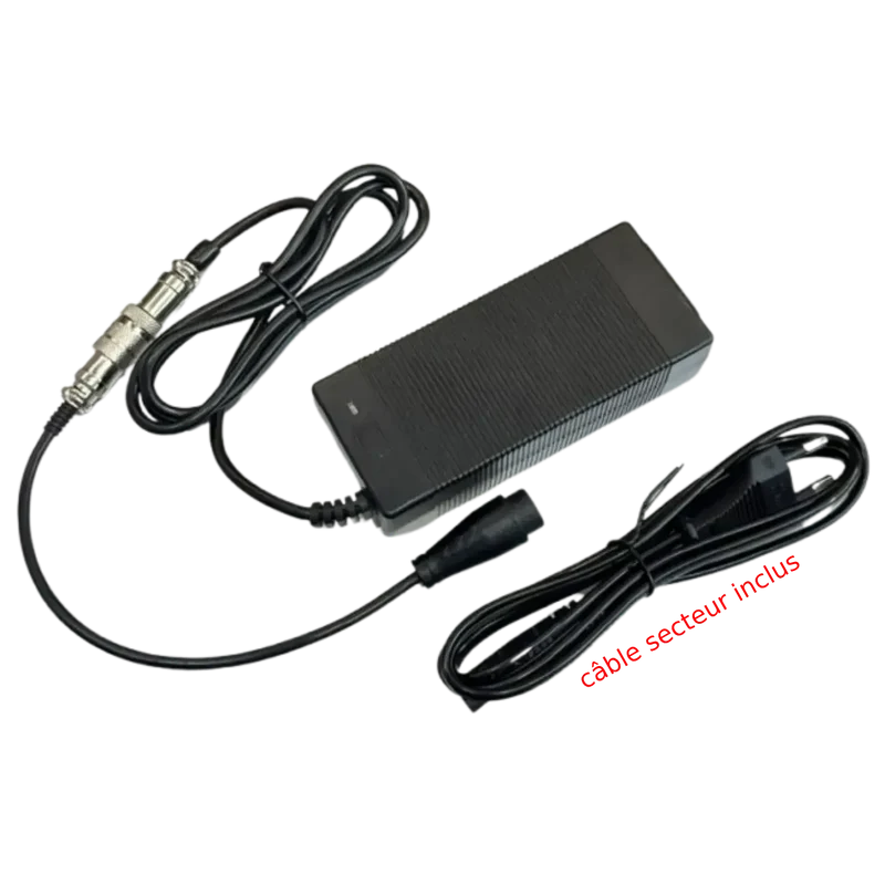 Chargeur 54,6V 2A LP16-3 pour Dualtron Togo 48V