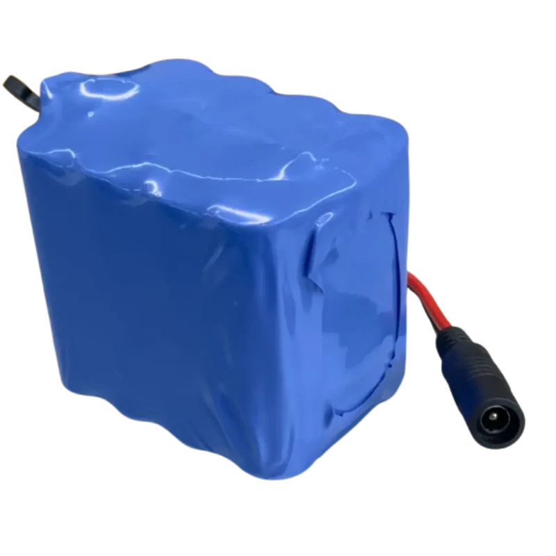 Batterie 3S4P Li-ion 12V 12.6Ah avec chargeur