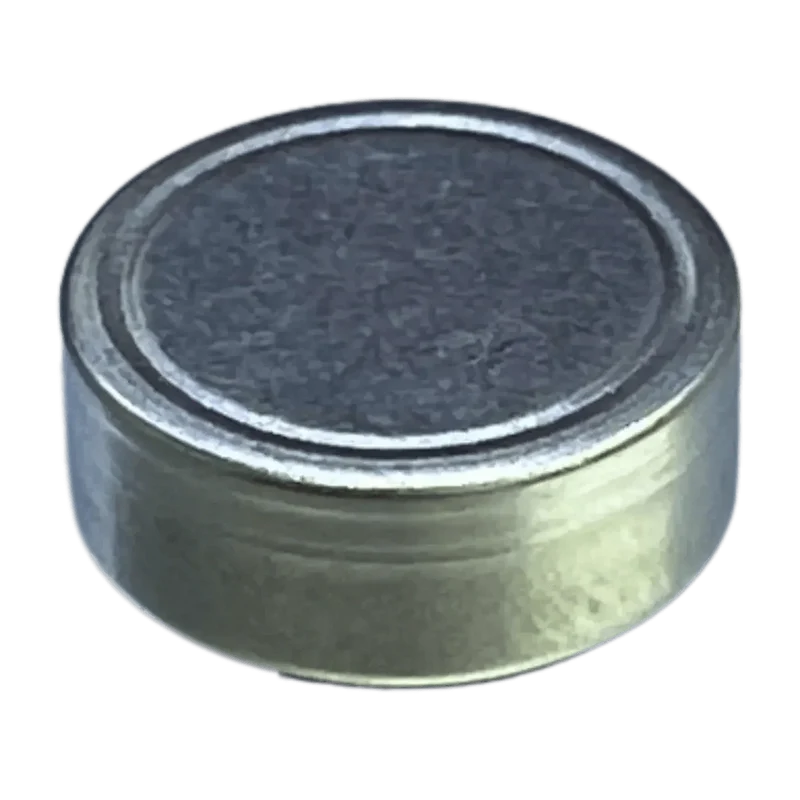 Batterie Z55 pour écouteurs Sony WF-1000XM3