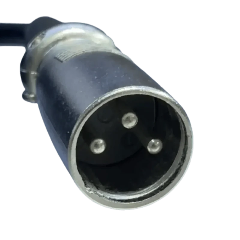 Chargeur de batterie au plomb 48V 2A XLR 3P